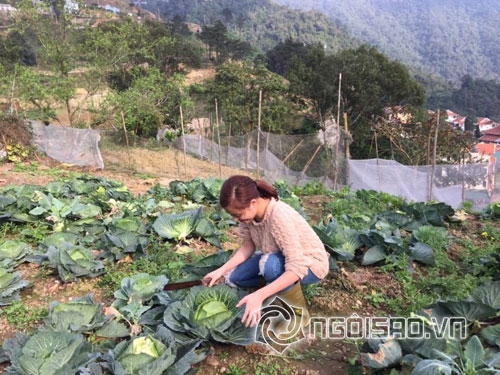 sao Việt,sao Việt về quê,sao Việt giản dị,Trà Ngọc Hằng,Thái Hà,Hoàng Thùy Linh,Ngọc Trinh