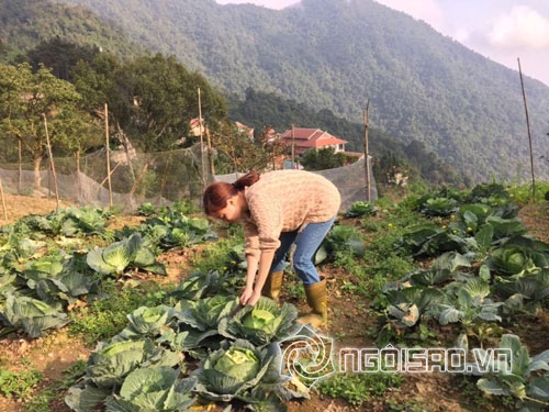 sao Việt,sao Việt về quê,sao Việt giản dị,Trà Ngọc Hằng,Thái Hà,Hoàng Thùy Linh,Ngọc Trinh