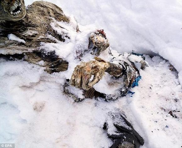 xác ướp, xác ướp trên núi, xác ướp đông lạnh, xác ướp bí ẩn, leo núi phát hiện xác ướp