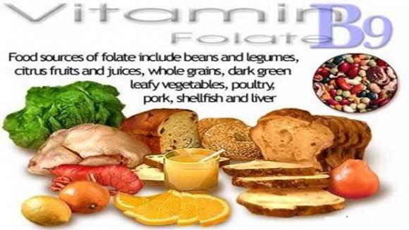 Vitamin B, vitamin B2, vitamin B9, vitamin B12, vitamin B6, vitamin B7, hệ thần kinh, hệ tiêu hóa, trí nhớ