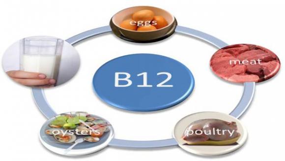 Vitamin B, vitamin B2, vitamin B9, vitamin B12, vitamin B6, vitamin B7, hệ thần kinh, hệ tiêu hóa, trí nhớ