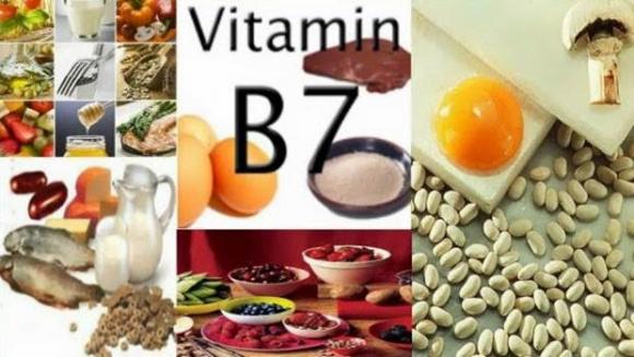 Vitamin B, vitamin B2, vitamin B9, vitamin B12, vitamin B6, vitamin B7, hệ thần kinh, hệ tiêu hóa, trí nhớ