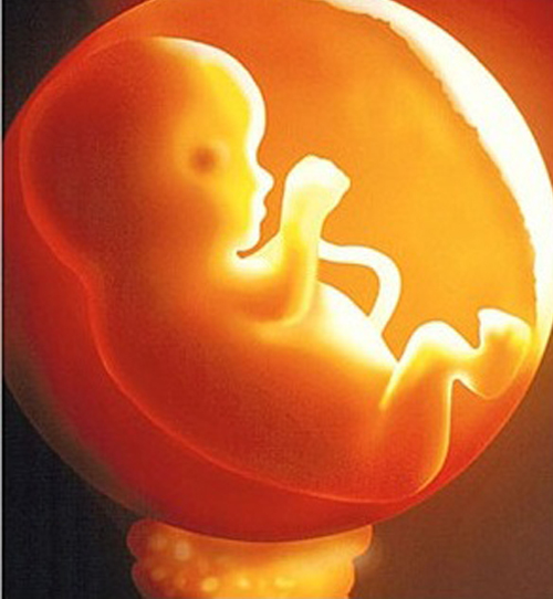 Chăm sóc trẻ, Kỹ năng làm mẹ, Chương trình làm mẹ, Nước ối