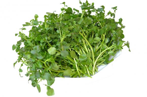 Chăm sóc da, Dưỡng da, Da trắng hồng
