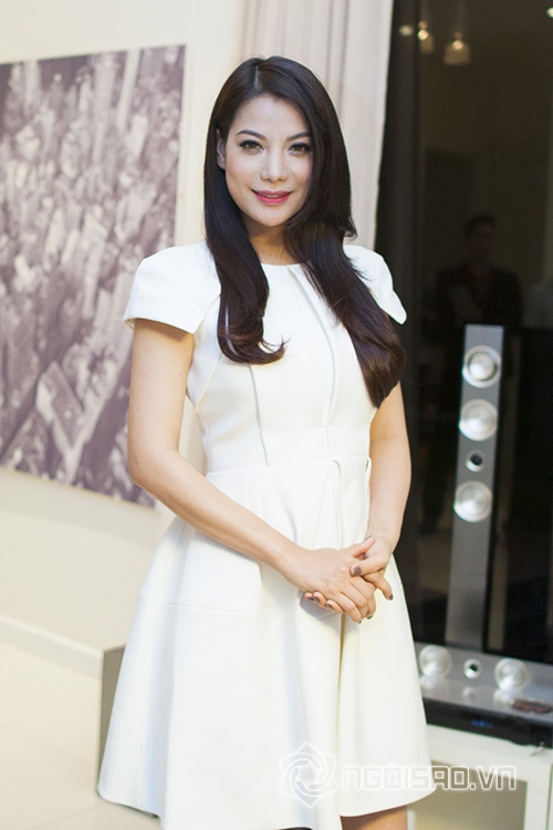 Trương Ngọc Ánh, vợ cũ Trần Bảo Sơn, Trương Ngọc Ánh dao kéo, Trương Ngọc Ánh Cánh diều vàng