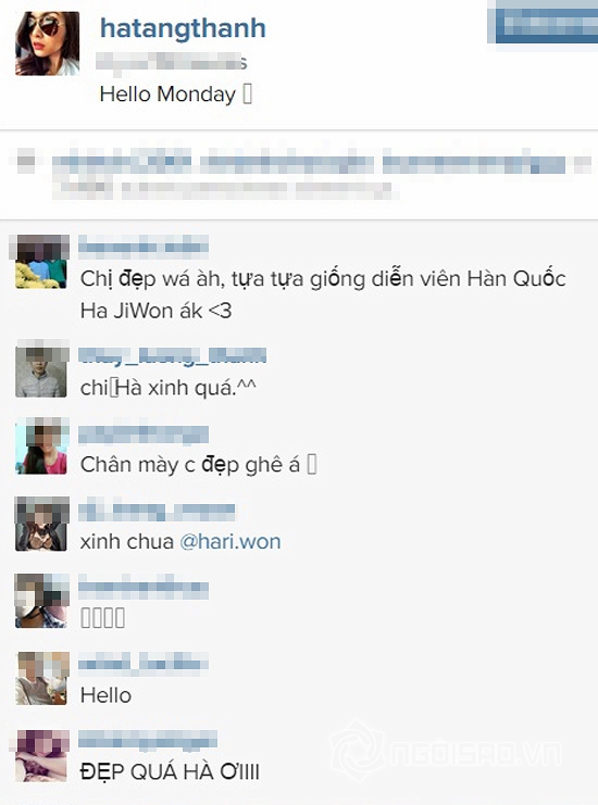 ha tang, tang thanh ha, ha tang mat thon gon, ha tang mang bau, tang thanh ha mang bau