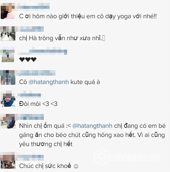 ha tang, tang thanh ha, ha tang mat thon gon, ha tang mang bau, tang thanh ha mang bau
