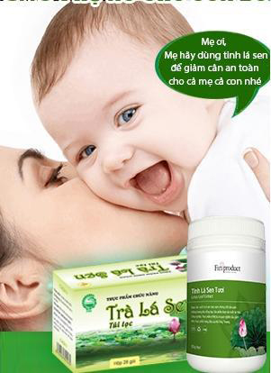 Tinh lá sen tươi, Giảm cân, Giảm mỡ máu