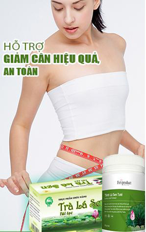 Tinh lá sen tươi, Giảm cân, Giảm mỡ máu