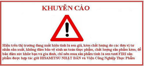 Tinh lá sen tươi, Giảm cân, Giảm mỡ máu