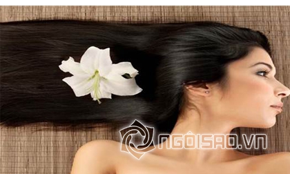 dầu dừa, sản phẩm làm đẹp từ dầu dừa, pha chế sản phẩm làm đẹp từ dầu dừa, làm đẹp từ dầu dừa, tin ngoi sao