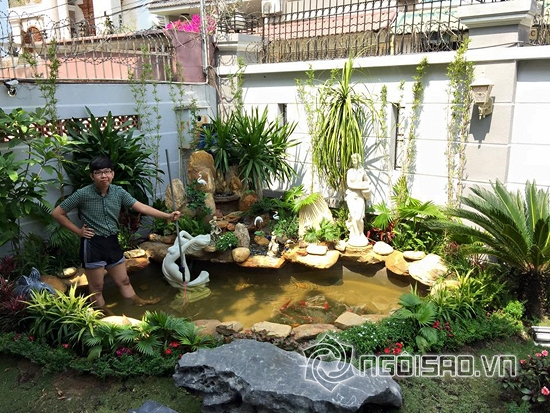 Cao Thái Sơn, Cao Thái Sơn khoe bể cá, Cao Thái Sơn xây bể cá mới, Cao Thái Sơn 2015