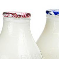 Lợi ích của sữa, Thực phẩm có lợi, Sữa tốt cho não