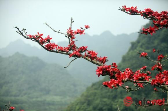 Du lịch Hà Nội, Mùa hoa gạo, Địa danh du lịch