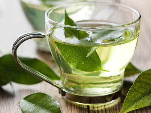 tác dụng của trà xanh, uống trà xanh khi mang thai, chăm sóc sức khỏe mang thai, sức khỏe mang thai