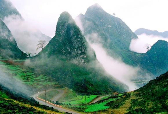 du lịch Việt, người Việt thích đi đâu, SaPa, Đà Nẵng, Nha Trang, Hạ Long, Hà Giang