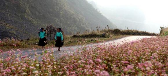 du lịch Việt, người Việt thích đi đâu, SaPa, Đà Nẵng, Nha Trang, Hạ Long, Hà Giang