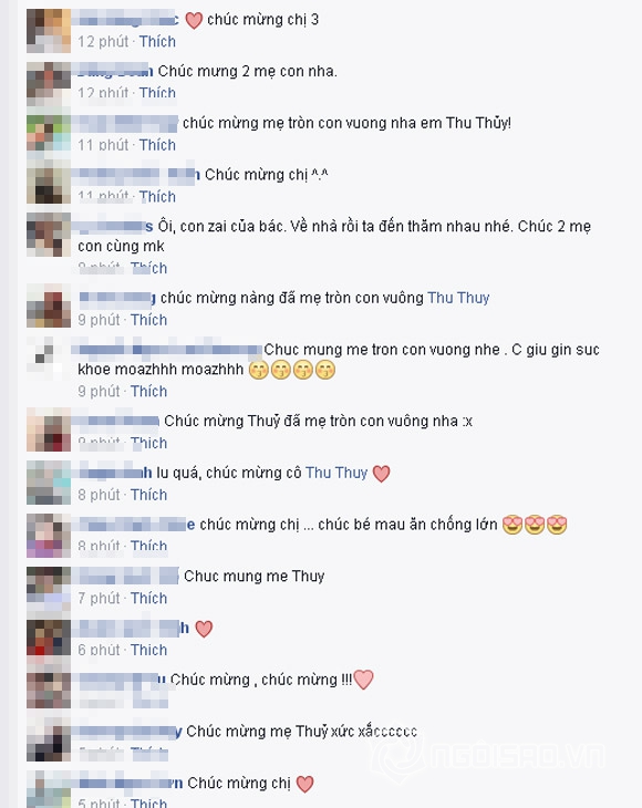 Thu Thủy, Thu Thủy sinh con,Thu Thủy mang thai