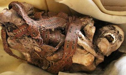 xác ướp của bé sơ sinh 1.500 năm tuổi, xác ướp, hóa thạch, kỳ lạ, tin ngôi sao