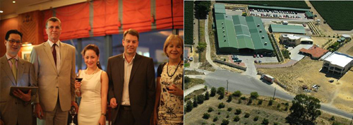 Đái tháo đường, Chữa bệnh Đái tháo đường, Phòng ngừa Đái tháo đường. bảo ngọc việt - úc