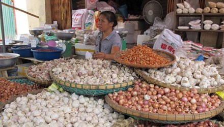 Nông sản Trung Quốc, Nông sản việt nam, Chợ đầu mối