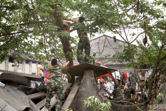 người đàn ông treo mình trên cây, tâm thần, trần như nhộng, nguy hiểm, tin ngôi sao, hiếu kỳ