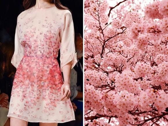thời trang lấy cảm hứng từ thiên nhiên, thời trang, thời trang độc đáo