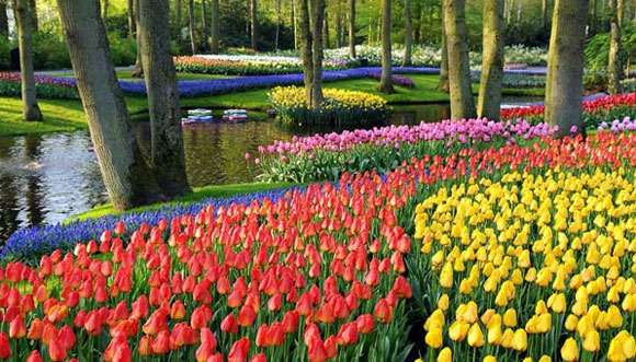 khu vườn đẹp,khu vườn đẹp thế giới,Desert Botanical Garden,Keukenhof,The Garden of Cosmic Speculation