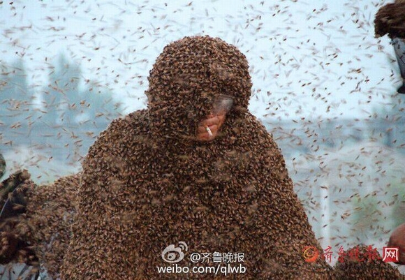 hàng triệu con ong đậu kín người , ong dốt, kỳ lạ, tin ngôi sao, chuyện kỳ lạ, kỳ quặc