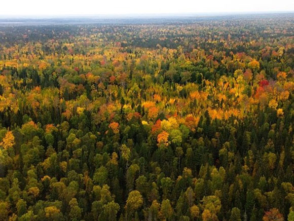 địa điểm hẻo lánh nhất thế giới,Socotra,Phục Sinh,Supai,Oymyakon,Nam Keeling,Rừng Taiga ở Siberia