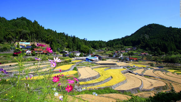 thắng cảnh chỉ có tại Nhật Bản,Vườn Kawachi Fuji,Trang trại hoa oải hương,Thác Nachi,Hồ Koya,Gokayama,Công viên Hitachi Seaside