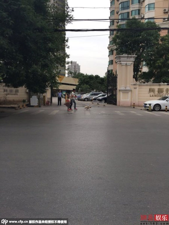 Phạm Băng Băng,Phạm Băng Băng và Lý Thần,Phạm Băng Băng và Lý Thần tay trong tay dạo phố