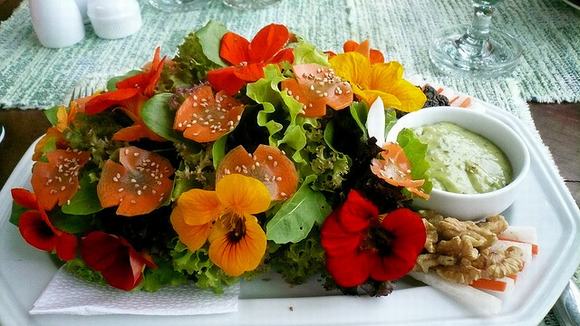 hoa có thể dùng nấu ăn, hoa nấu ăn, dùng hoa nấu ăn, hoa, tin ngoi sao