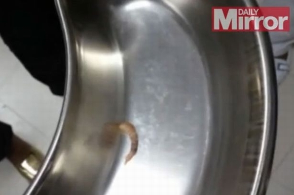 sâu dài 3cm sống trong mắt, sâu trong mắt, kỳ lạ , chuyện lạ, kỳ qua quặc