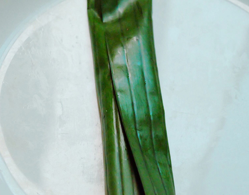 bánh bột lọc nhân tôm thịt,cách làm bánh bột lọc,món ăn vặt ngon,món ăn với tôm thịt