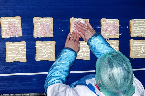 làm bánh sandwich bằng tay, bánh sandwich, làm bánh bằng tay không, nhà máy làm bánh sandwich bằng tay không, tin, bao