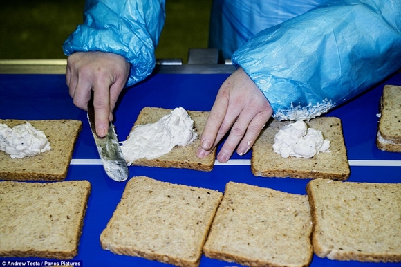 làm bánh sandwich bằng tay, bánh sandwich, làm bánh bằng tay không, nhà máy làm bánh sandwich bằng tay không, tin, bao