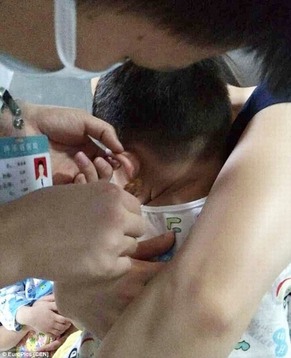  bấm ghim vào tai, bảo mẫu, giáo viên mần non bấm ghim vào tai, tin ngôi sao