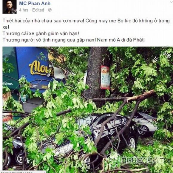 mc phan anh, xe cua mc phan anh, thiet hai con bao, xe cua mc phan anh bi cay do, phan anh, ba xa phan anh, tin tuc sao