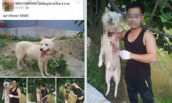 anh chàng khoe ảnh thịt chó, anh chàng thịt chó, giết chó, giới trẻ