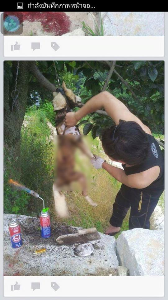 anh chàng khoe ảnh thịt chó, anh chàng thịt chó, giết chó, giới trẻ