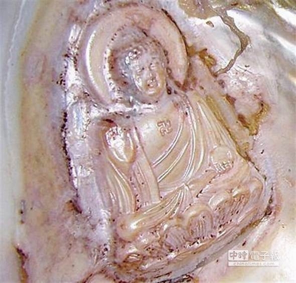 hình phật in trên vỏ trai, phật xuất hiện, kỳ lạ, chuyện lạ, tin ngôi sao