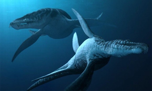 quái vật , quái vật biển, quái vật thời tiền sử, cá mập khổng lồ, tin ngôi sao