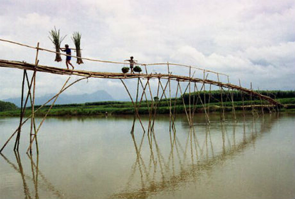 cây cầu đáng sợ,cây cầu cheo leo,cây cầu mục nát,cây cầu nguy hiểm