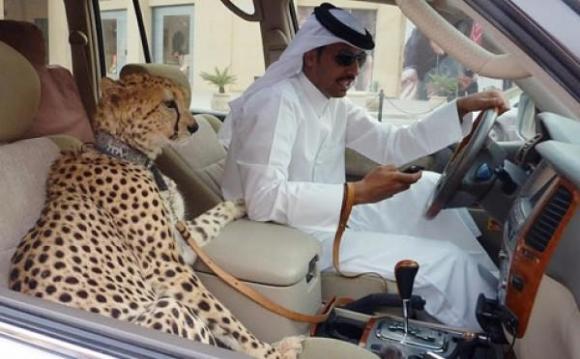 Dubai, thành phố giàu có, hình ảnh thể hiện sự giàu có, siêu giàu, đại gia, tỷ phú, siêu xe, mạ vàng, tin ngôi sao