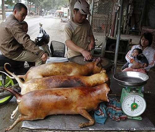 món ăn đáng sợ,nổi da gà với món ăn đáng sợ,món ăn kỳ lạ trên thế giới,trứng vịt lộn,