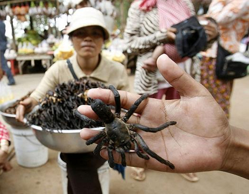 món ăn đáng sợ,nổi da gà với món ăn đáng sợ,món ăn kỳ lạ trên thế giới,trứng vịt lộn,