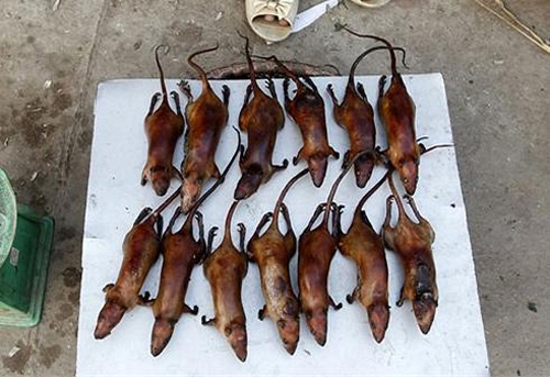 món ăn đáng sợ,nổi da gà với món ăn đáng sợ,món ăn kỳ lạ trên thế giới,trứng vịt lộn,