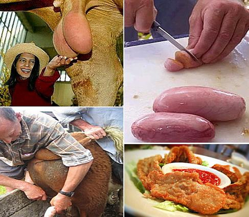 món ăn đáng sợ,nổi da gà với món ăn đáng sợ,món ăn kỳ lạ trên thế giới,trứng vịt lộn,