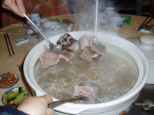 món ăn đáng sợ,nổi da gà với món ăn đáng sợ,món ăn kỳ lạ trên thế giới,trứng vịt lộn,